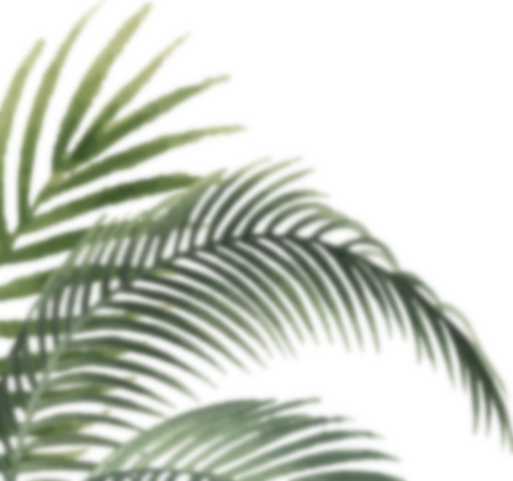 palm image
